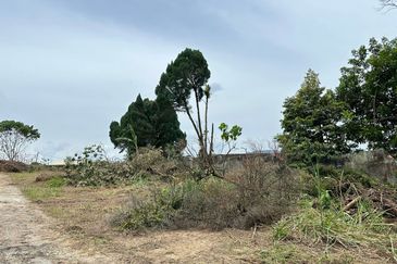 Taman Sri Hijau ( New Green Park )