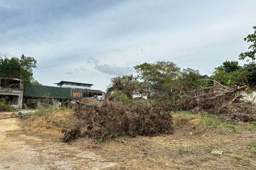 Taman Sri Hijau ( New Green Park )