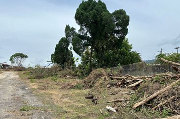 Taman Sri Hijau ( New Green Park )