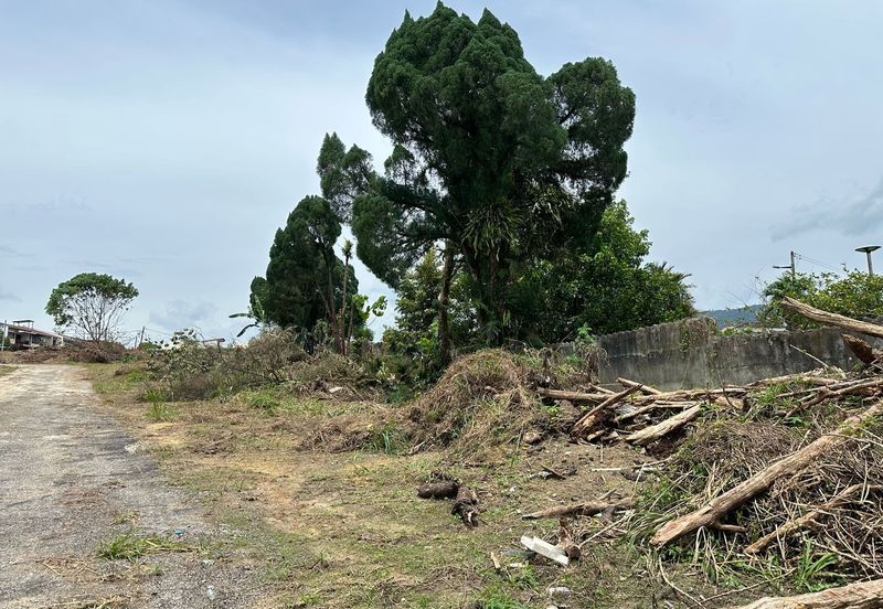 Taman Sri Hijau ( New Green Park )