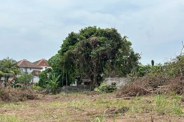 Taman Sri Hijau ( New Green Park )