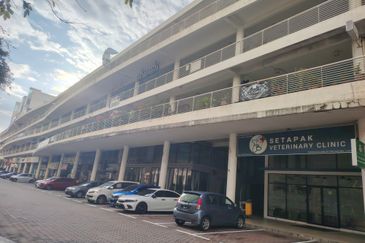 Platinum Mondrian (Pv128)