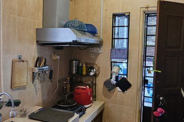 Anggerik Doritis @ Kota Kemuning