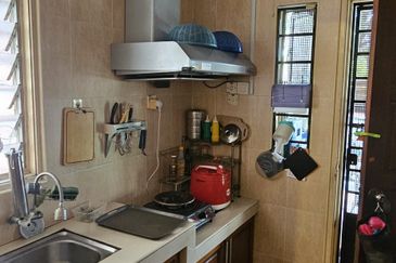 Anggerik Doritis @ Kota Kemuning