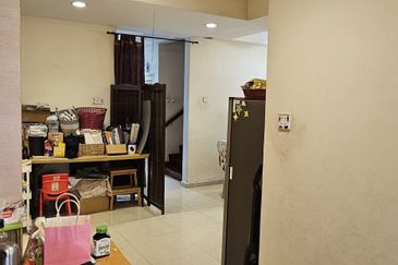 Anggerik Doritis @ Kota Kemuning