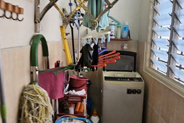 Anggerik Doritis @ Kota Kemuning