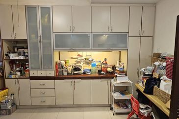 Anggerik Doritis @ Kota Kemuning