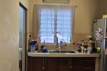 Anggerik Doritis @ Kota Kemuning