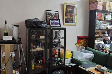 Anggerik Doritis @ Kota Kemuning