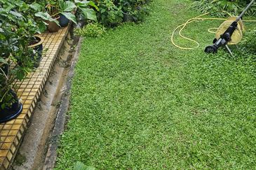 Taman Tun Dr Ismail (TTDI)