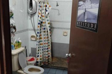 Anggerik Doritis @ Kota Kemuning