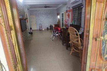 Anggerik Doritis @ Kota Kemuning