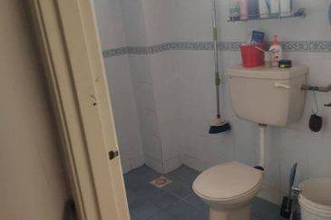 Anggerik Doritis @ Kota Kemuning