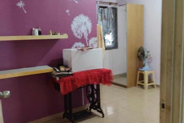 Anggerik Doritis @ Kota Kemuning