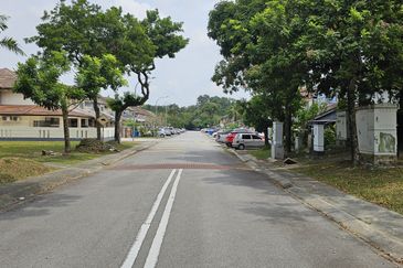 Anggerik Doritis @ Kota Kemuning