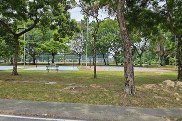 Anggerik Doritis @ Kota Kemuning