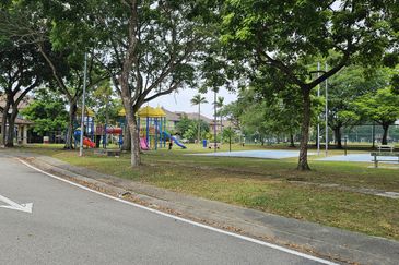 Anggerik Doritis @ Kota Kemuning