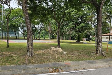 Anggerik Doritis @ Kota Kemuning