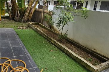 Terraza @ Eco Sanctuary