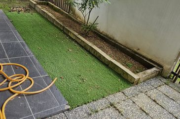 Terraza @ Eco Sanctuary