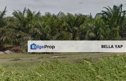 Ijok Agriculture Land, Selangor, Kuala Selangor