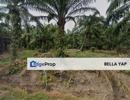 Banting Industrial Land, Selangor, Banting