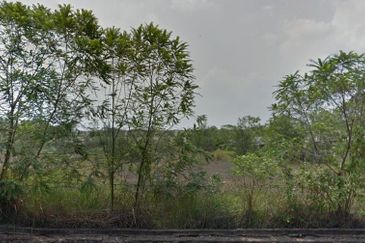 Batang Berjuntai @ Bestari Jaya