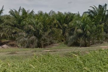 Batang Berjuntai @ Bestari Jaya