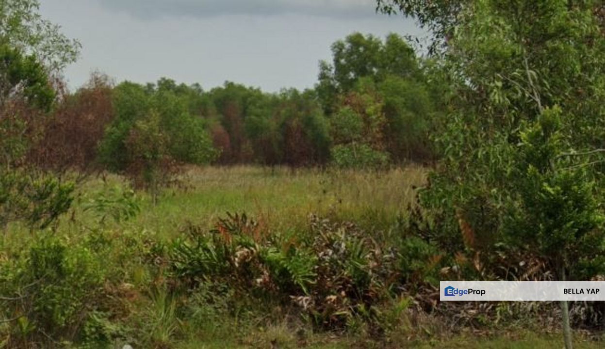 Sri Batu Caves Industry Land, Selangor, Batu Caves 