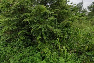 Bukit Beruntung Industrial Park