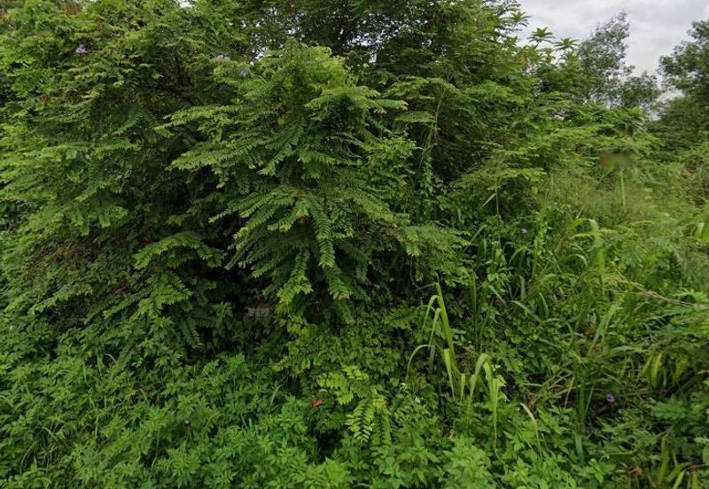 Bukit Beruntung Industrial Park