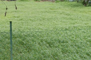 Bukit Beruntung Industrial Park