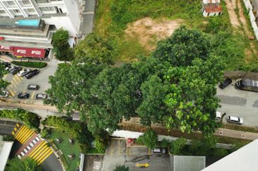 Kiara Designer Suites