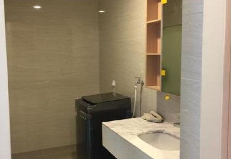 Cyperus @ Tropicana Gardens