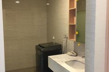 Cyperus @ Tropicana Gardens