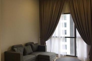 Cyperus @ Tropicana Gardens