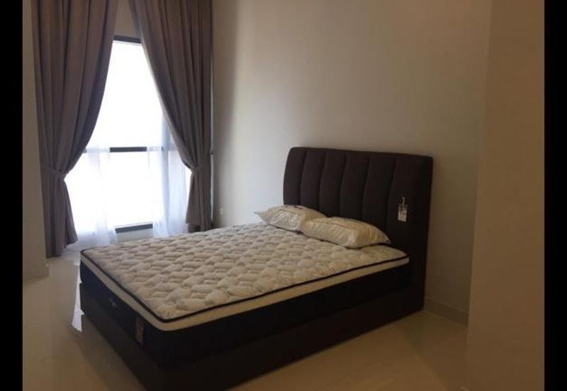 Cyperus @ Tropicana Gardens