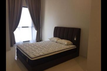 Cyperus @ Tropicana Gardens