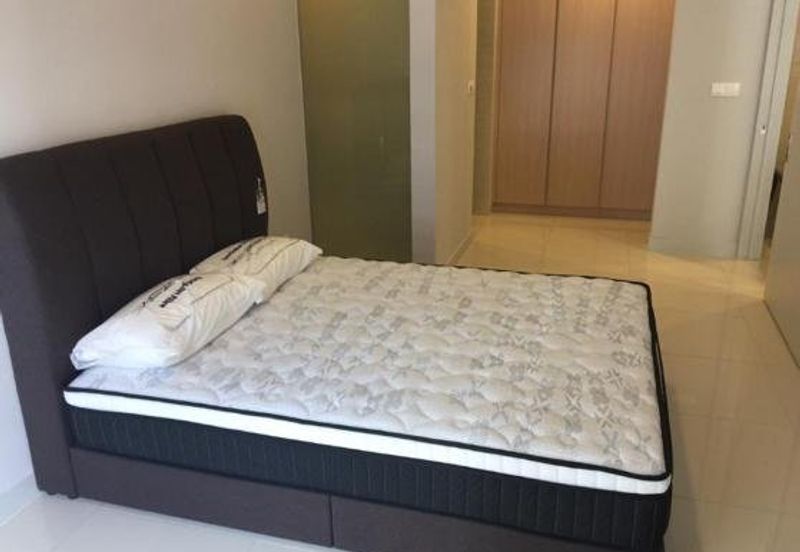 Cyperus @ Tropicana Gardens