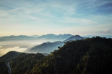 TwinPines Serviced Suites @ Tropicana Grandhill