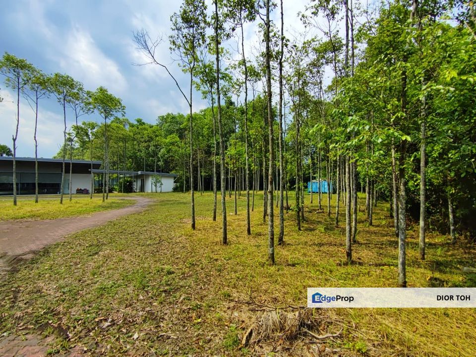 Below Market Price Land For Sale Ukay Perdana Ampang, Selangor, Ampang