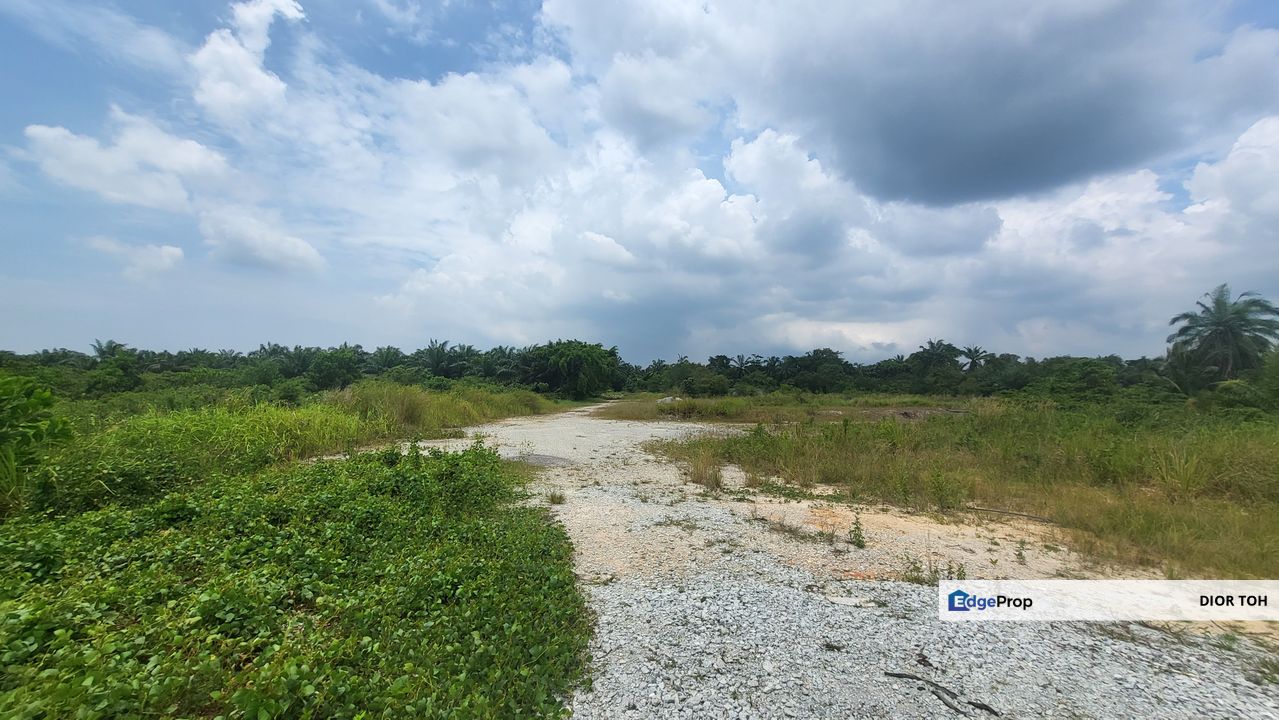 Banting Freehold Agriculture Land For Sale, Selangor, Banting