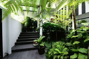 Damansara Heights (Bukit Damansara)