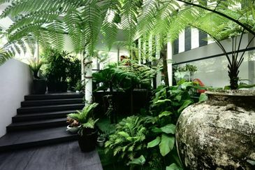 Damansara Heights (Bukit Damansara)