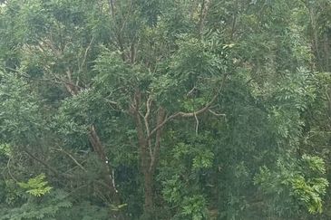 Gateway Kiaramas, Corporate Suites