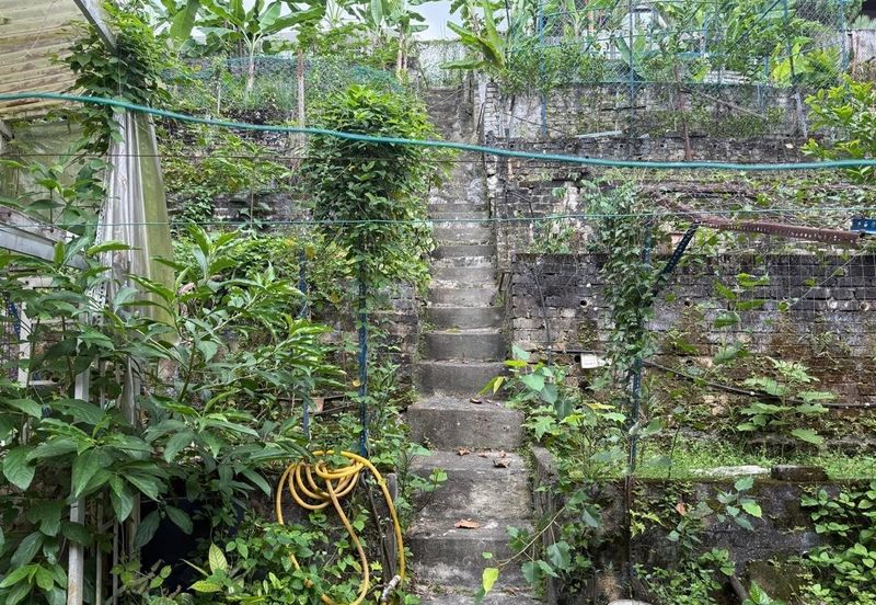 Damansara Heights (Bukit Damansara)