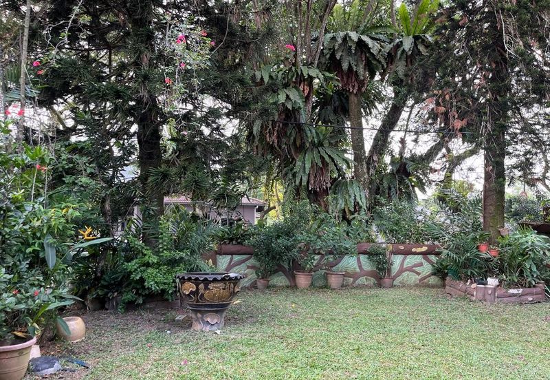 Damansara Heights (Bukit Damansara)