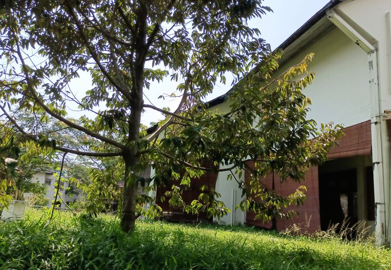 Bungalow land @ bukit Tunku Kenny hills for sale 