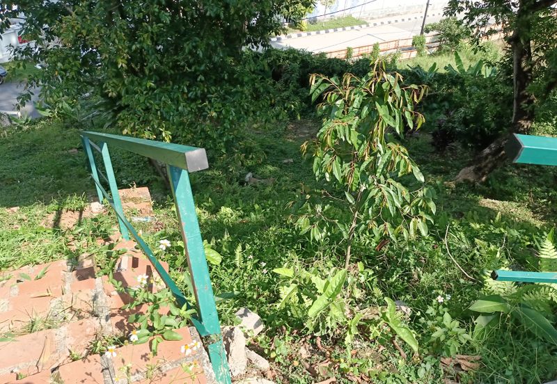 Bungalow land @ bukit Tunku Kenny hills for sale 