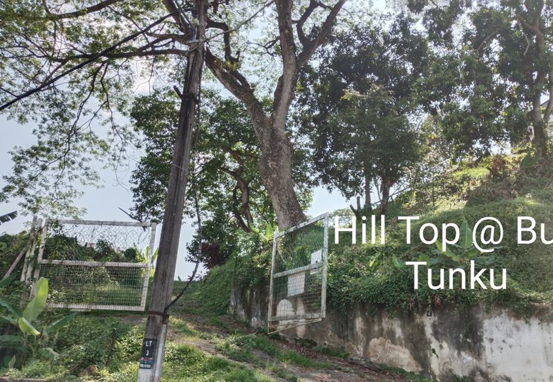 Bungalow land @ bukit Tunku Kenny hills for sale 